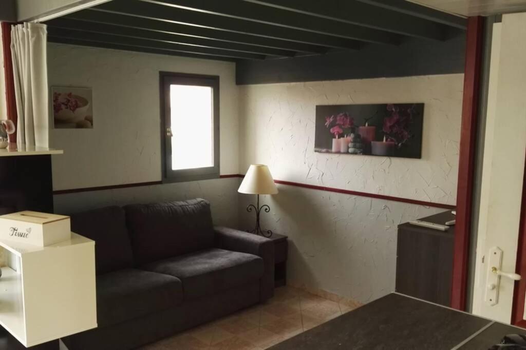 Studio Mezzanine En Residence Avec Piscine Au Village Ле Баркарес Экстерьер фото